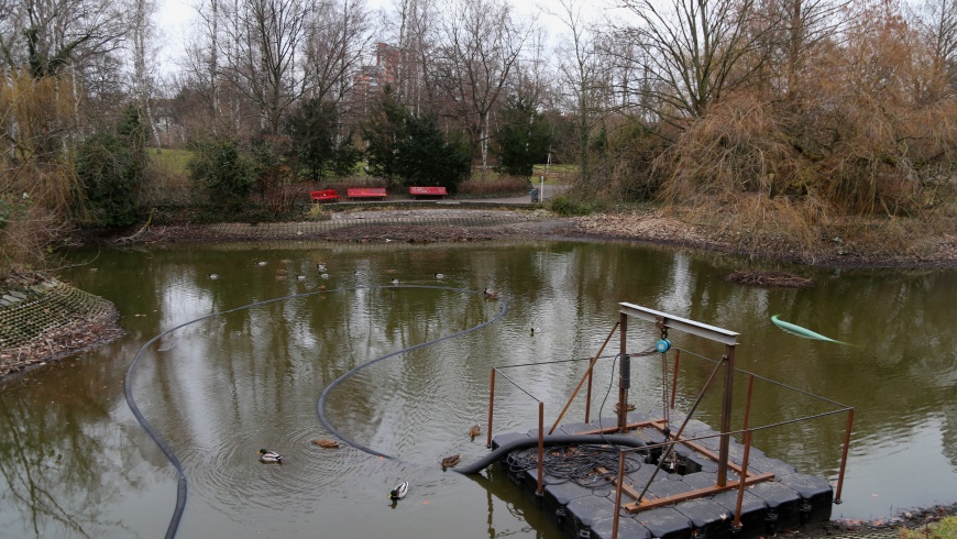 Teich im Stadtpark Steglitz