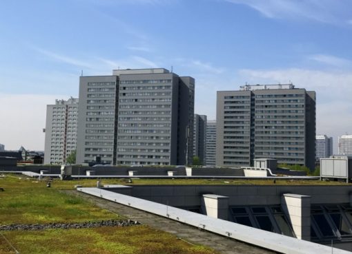 Berliner Gründach-Wettbewerb gestartet