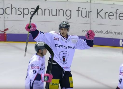 Eisbären: neue DEL-Saison
