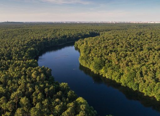 Krumme Lanke