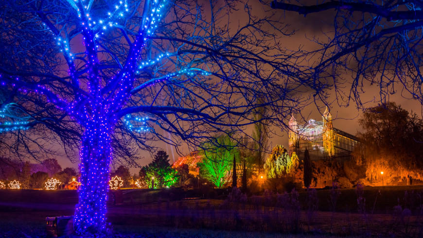 Weihnachten im Botanischen Garten