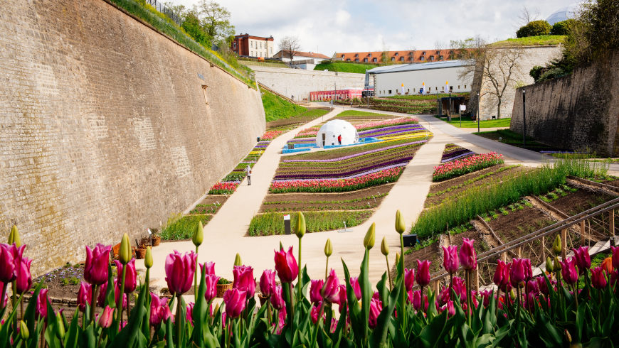 Erfurter Gartenschätze im Festungsgraben