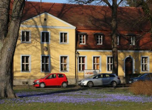 Dorfaue Lankwitz im Frühling