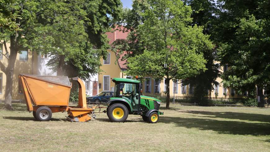 Trockenmähen im Juli