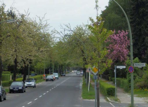 Mühlenstraße in Zehlendorf