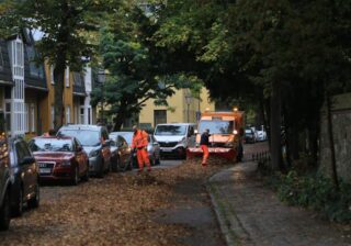 BSR Laubbeseitigung in der Dorfaue Lankwitz