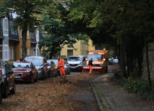 BSR Laubbeseitigung in der Dorfaue Lankwitz