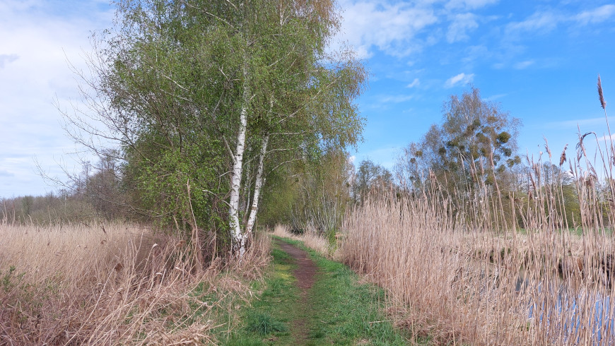 Wanderweg entlang des Pfefferfließ