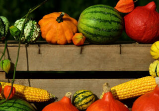 Der Herbst bringt die bunte Kürbisvielfalt auf den Tisch.