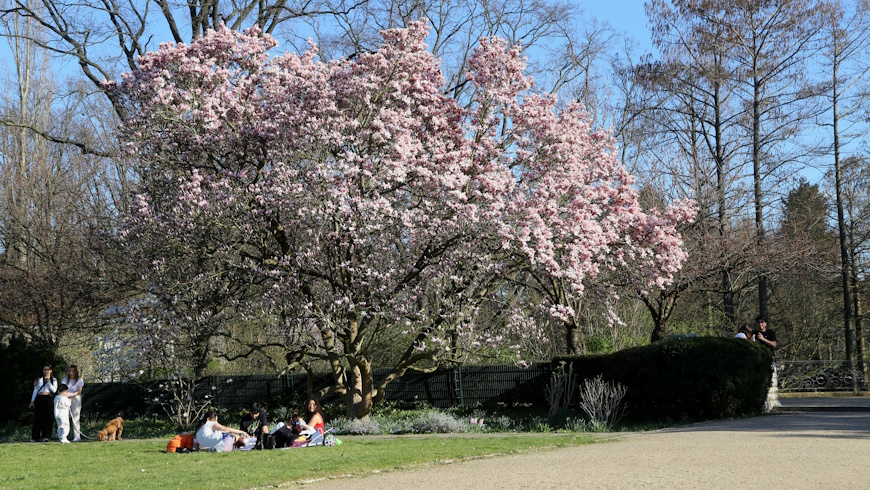 Frühling im Volkspark