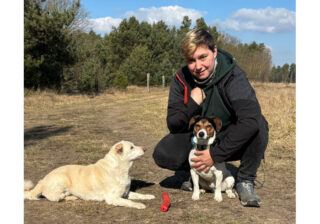 Hunde gesund ernähren