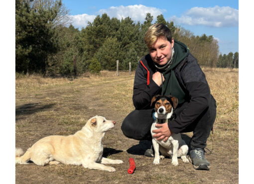 Hunde gesund ernähren