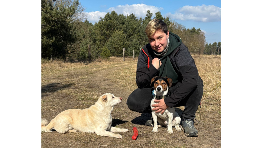 Hunde gesund ernähren