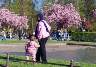 Kirschblütenzeit in Lichterfelde
