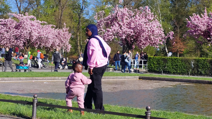 Kirschblütenzeit in Lichterfelde