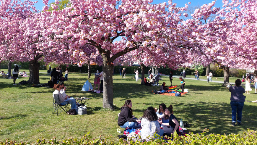 „Rosa-Pink-Magenta Fashion-Day©“ im Lilienthalpark in Lichterfelde
