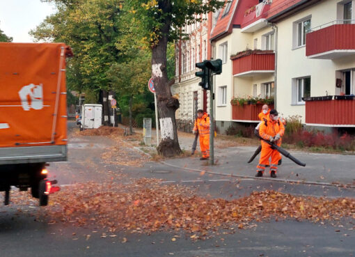 BSR-Laubbläser an der Mühlenstraße in Lankwitz