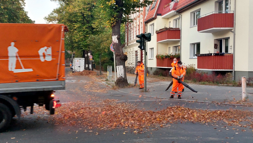 BSR-Laubbläser an der Mühlenstraße in Lankwitz